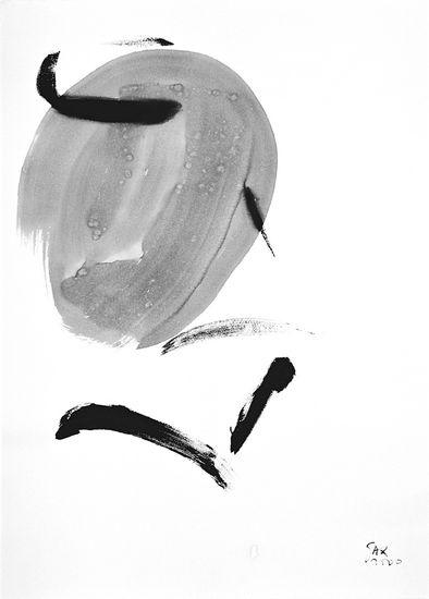 2-2000 boule 105x75 chf 3200.jpg